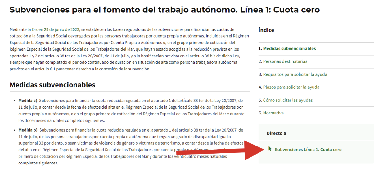 subvenciones cuota cero