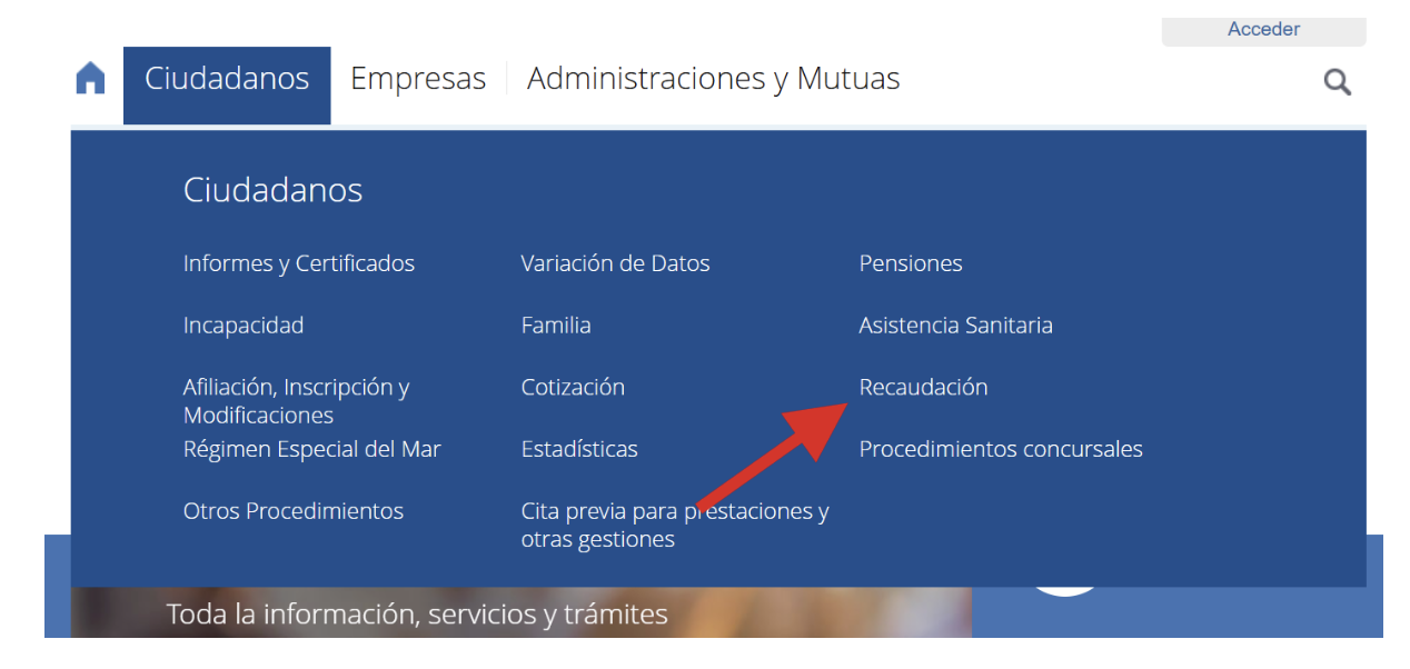 recaudacion autonomos de baja por enfermedad 25