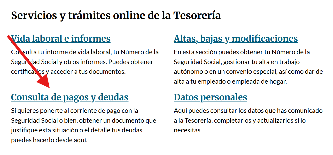 Opción de Consulta de pagos y deudas de Importass para consultar regularización cuotas autónomos.